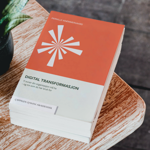 Bogen_Digital Transformasjon_Nyhedsbrev marts 2025